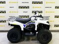 2025 Bison ATV200, белый - вид 4