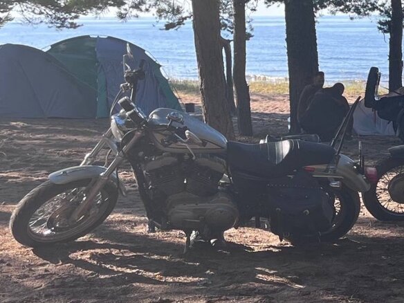 2004 Harley-Davidson Sportster 1200, серебристый, 675000 рублей - вид 2