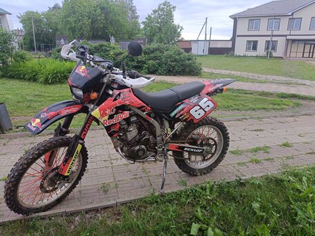 2004 Kawasaki KLX 250, красный, 220000 рублей, вид 1