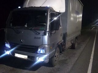 2015 BAW Fenix, серебристый, 1300000 рублей, вид 1