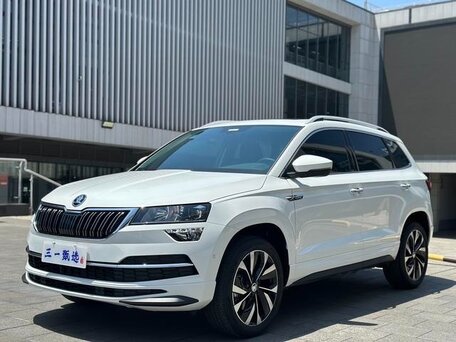 Skoda Karoq I