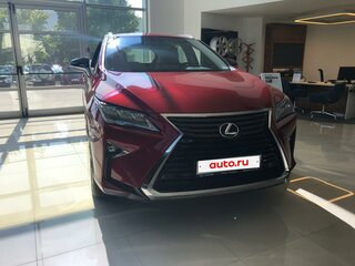 2019 Lexus RX 300 IV, красный, 4100000 рублей, вид 2