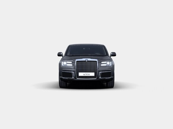2021 Aurus Senat I, серый - вид 5