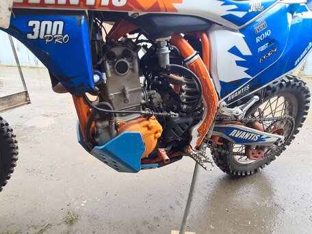2019 Avantis Enduro 300 Pro/EFI, красный, 290000 рублей, вид 5