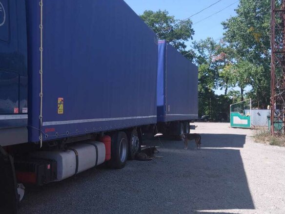 2006 DAF XF 105, синий, 3900000 рублей - вид 1