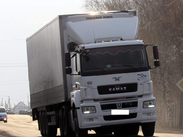 2016 КамАЗ 65206, белый - вид 7