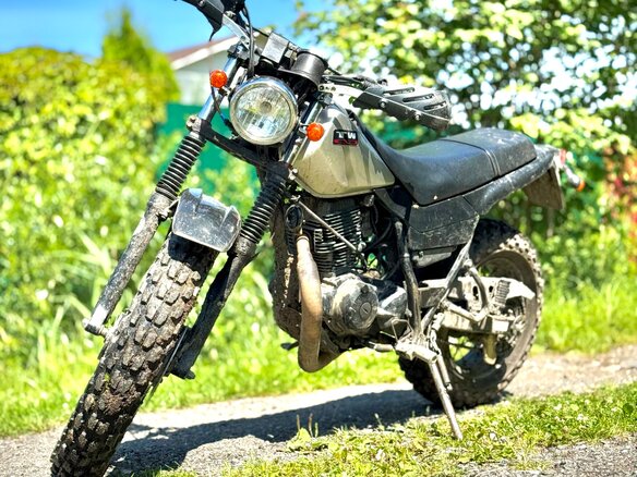2003 Yamaha TW225, серебристый, 225000 рублей