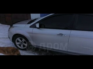 2010 Ford Focus II Рестайлинг, серебристый, 470000 рублей, вид 5