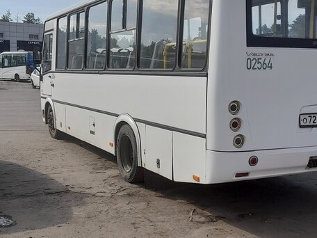2017 ПАЗ 3204, белый, 2100000 рублей, вид 4