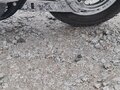 2006 Harley-Davidson Electra Glide, зелёный, 700000 рублей - вид 2