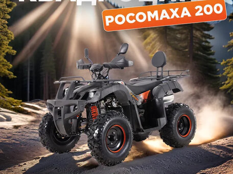 2025 Другие ATV (другие), золотистый, 215000 рублей, вид 4