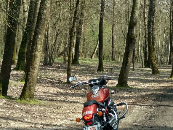 2012 Honda Shadow 750, оранжевый, 570000 рублей - вид 18