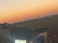 2023 JMC 140 MX, оранжевый, 60000 рублей - вид 3