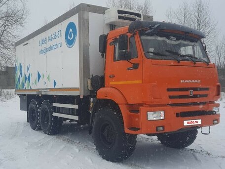 2020 КамАЗ 43114, оранжевый, 4000000 рублей, вид 2