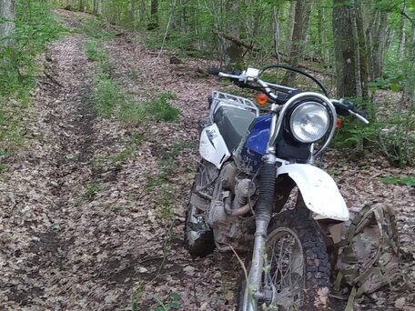 2002 Suzuki Djebel 200, синий, 250000 рублей, вид 2