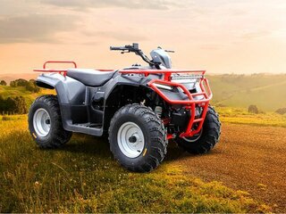 2026 Irbis ATV 250U, красный, 227998 рублей, вид 1