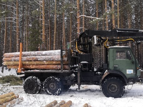 1991 КамАЗ 4310, зелёный, 2750000 рублей, вид 3