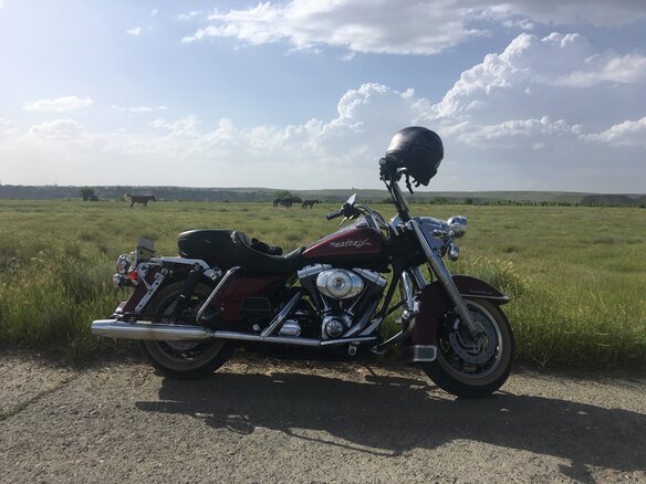 2002 Harley-Davidson Road King, красный, 680000 рублей - вид 11