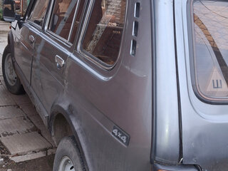 2005 Lada (ВАЗ) 2131 (4x4) I, серый, 350000 рублей, вид 2