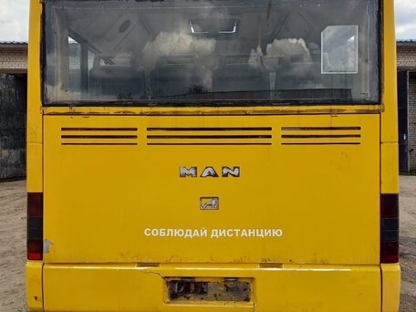 2000 MAN SL, золотистый, 600000 рублей, вид 2