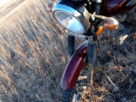 2024 Racer Alpha, красный, 75000 рублей, вид 2