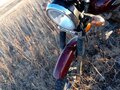 2024 Racer Alpha, красный, 75000 рублей - вид 1