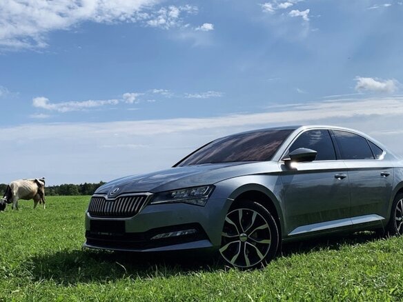 2019 Skoda Superb III Рестайлинг, серый, 3500000 рублей - вид 26