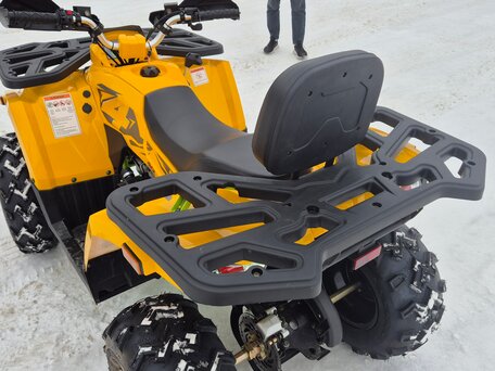 2024 Motoland Wild Track 200, золотистый, 215000 рублей, вид 4