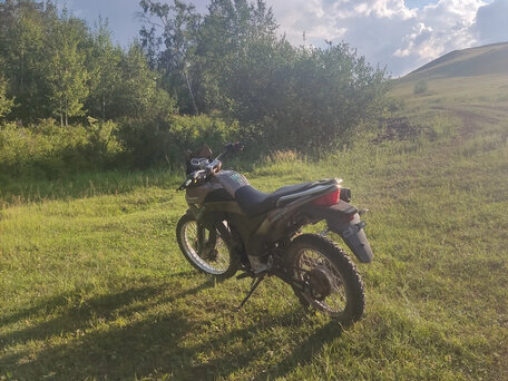 2020 Racer Ranger, коричневый, 130000 рублей, вид 3