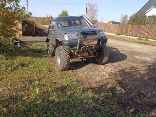 2004 Chevrolet Niva I, серый, 680000 рублей, вид 2
