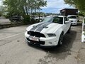 2009 Ford Mustang Shelby GT500 V Рестайлинг, белый, 7900000 рублей