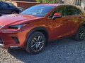 2019 Lexus NX 300 I Рестайлинг, оранжевый, 4900000 рублей