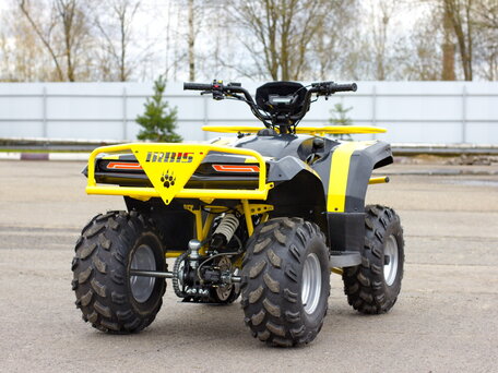 2026 Irbis ATV 125U, жёлтый, 110000 рублей, вид 4