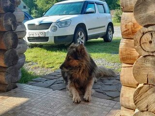 2013 Skoda Yeti I, белый, 950000 рублей, вид 5