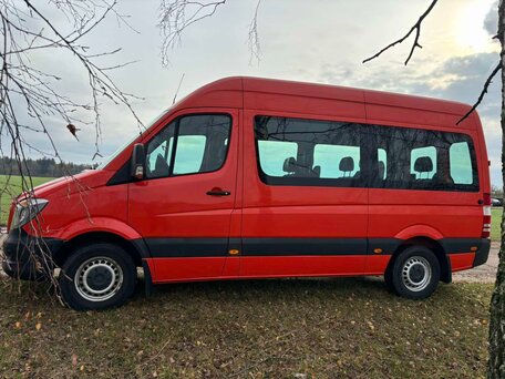 2018 Mercedes-Benz Sprinter, красный, 3419244 рублей, вид 5