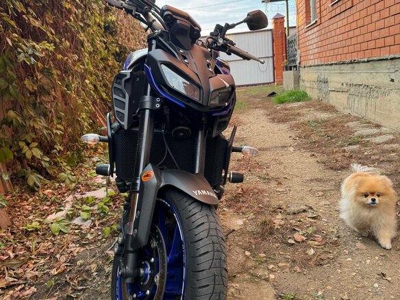 2020 Yamaha MT-09 (FZ-09), синий, 1000000 рублей - вид 4