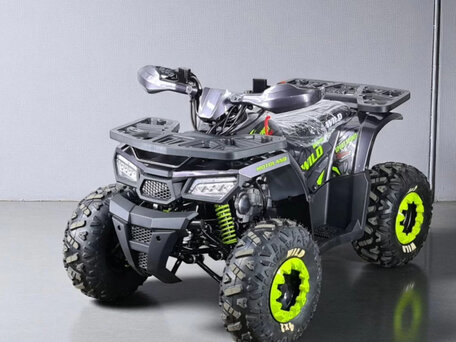 2025 Motoland Wild 125, чёрный, 50000 рублей, вид 1