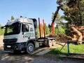 2017 Mercedes-Benz Actros, белый, 9000000 рублей - вид 8