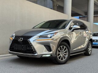 2020 Lexus NX 200 I Рестайлинг, серебристый, 2570000 рублей, вид 1