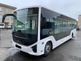 2024 ПАЗ 4223/4228, белый, 7900000 рублей, вид 1