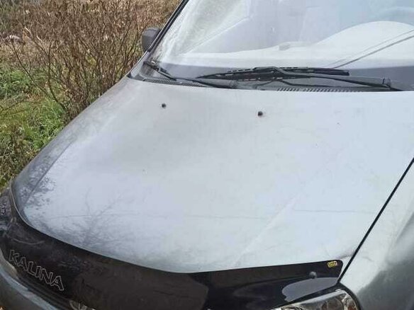 2011 Lada (ВАЗ) Kalina I, серый, 300000 рублей - вид 5