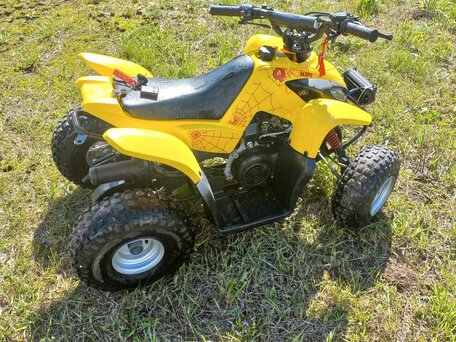 2020 Другие ATV (другие), жёлтый, 50000 рублей, вид 4
