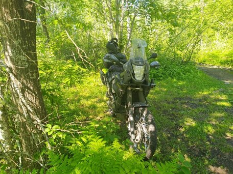 2012 Yamaha XT660Z Tenere, серый, 557557 рублей, вид 3