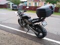2003 Honda CB 600F Hornet, чёрный, 400000 рублей - вид 6