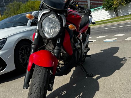 2011 Suzuki SFV 650 Gladius, красный, 375000 рублей, вид 1
