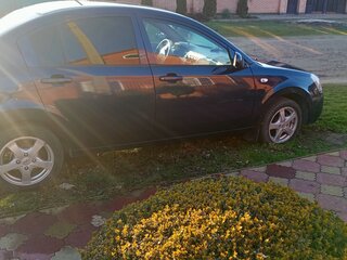2010 Vortex Estina I, синий, 390000 рублей, вид 2