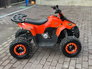 2023 Yacota Raposa, красный, 86000 рублей, вид 3