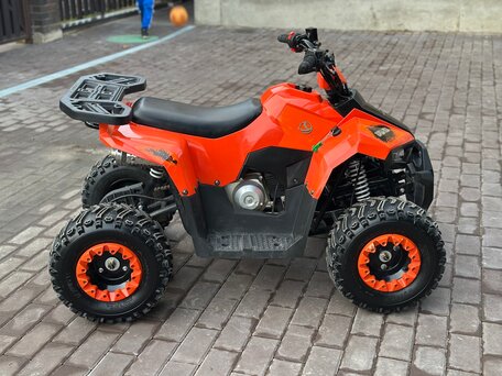 2023 Yacota Raposa, красный, 86000 рублей, вид 3