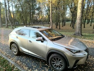 2018 Lexus NX 300 I Рестайлинг, серебристый, 2250000 рублей, вид 5