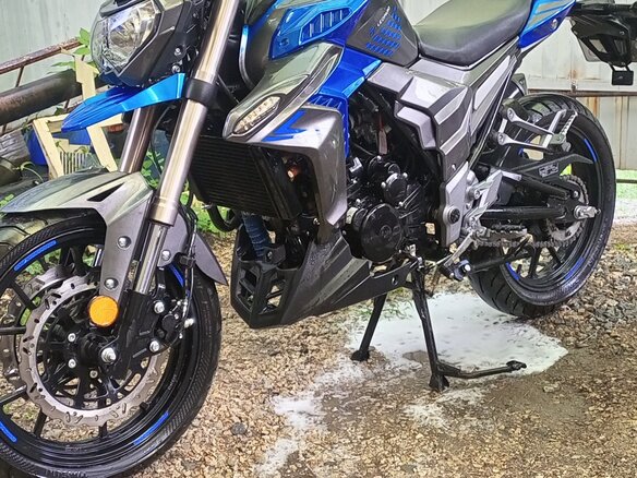 2022 Regulmoto T-Leopard 300, синий, 390000 рублей - вид 10